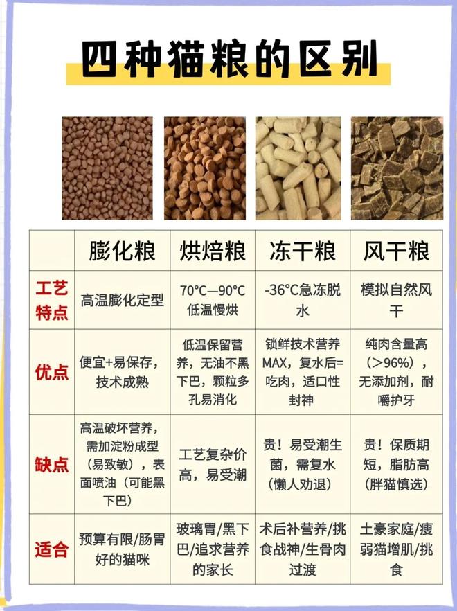 宠物吃上了鲜食 Flywheel飞未麻将胡了模拟器试玩还在吃预制菜的人让(图11)