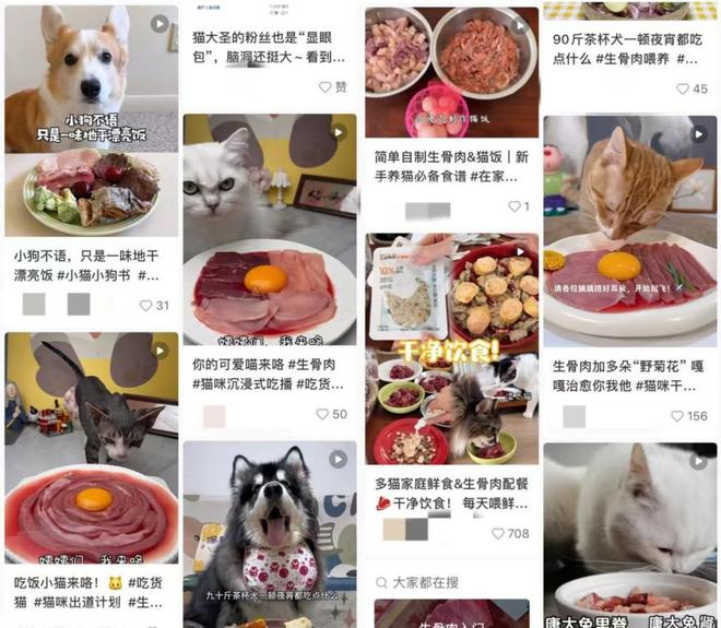 宠物吃上了鲜食 Flywheel飞未麻将胡了模拟器试玩还在吃预制菜的人让(图12) 宠物吃上了鲜食 Flywheel飞未麻将胡了模拟器试玩还在吃预制菜的人让(图12)