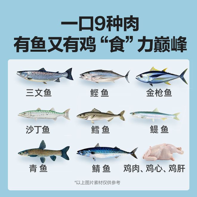 罐头全价猫粮让宠物爱上美味与健康PG麻将胡了网易严选浓汤大口