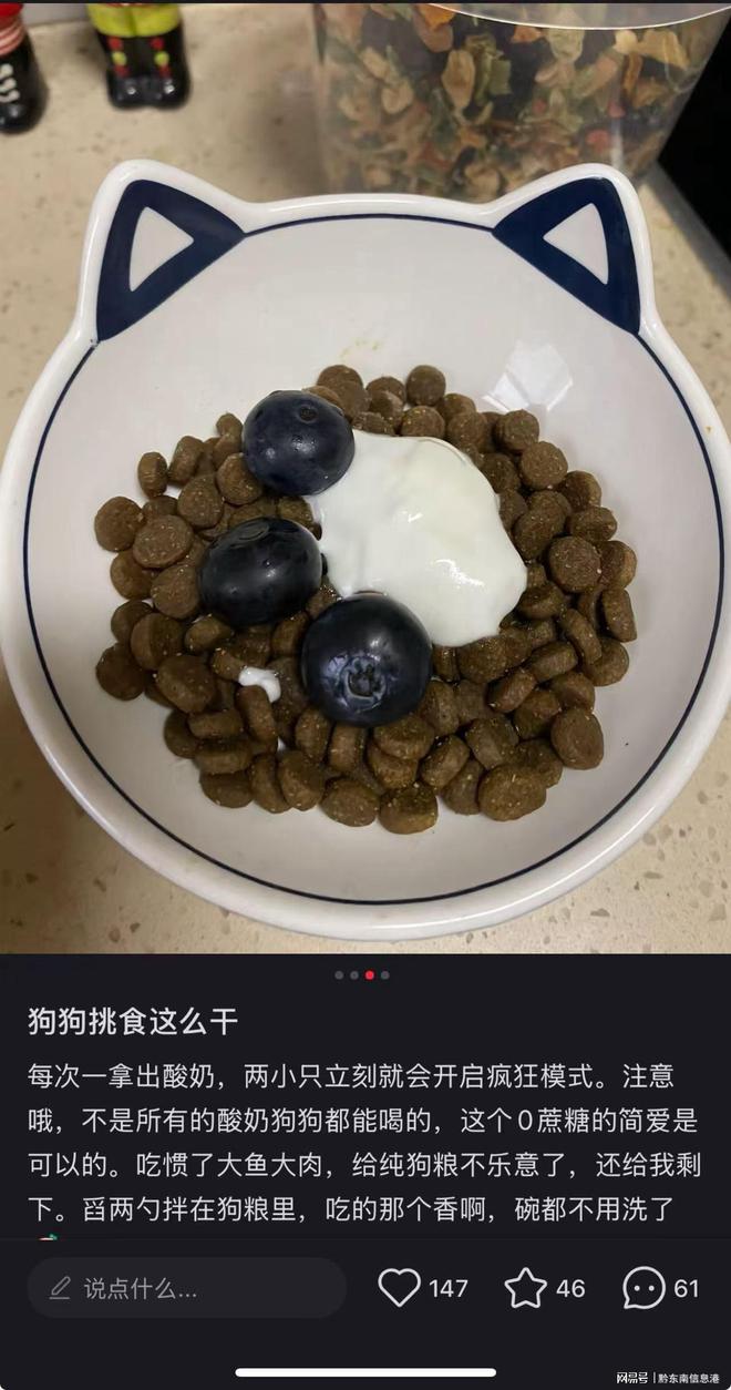 方”撬动萌宠经济与母婴信任双赛道麻将胡了网址简爱酸奶以“纯净配